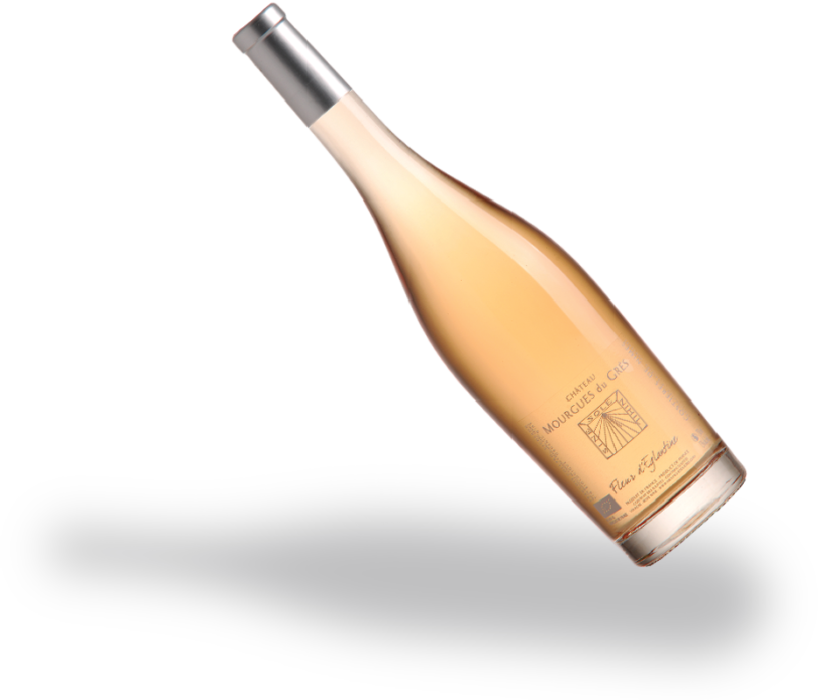 Fleur Eglantine Mourgues Du Grès