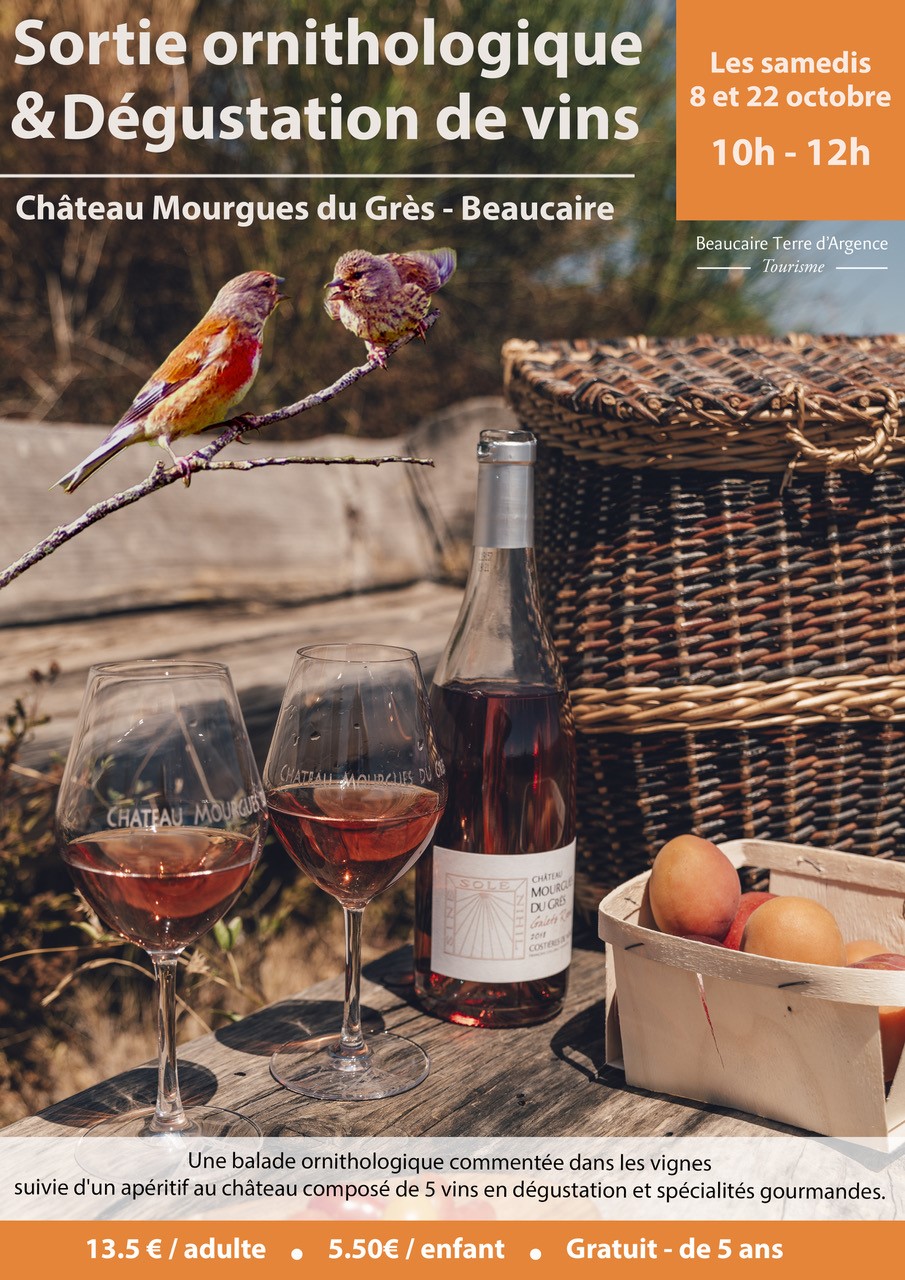 Balades ornithologiques les samedis 8 et 22 Octobre 2022