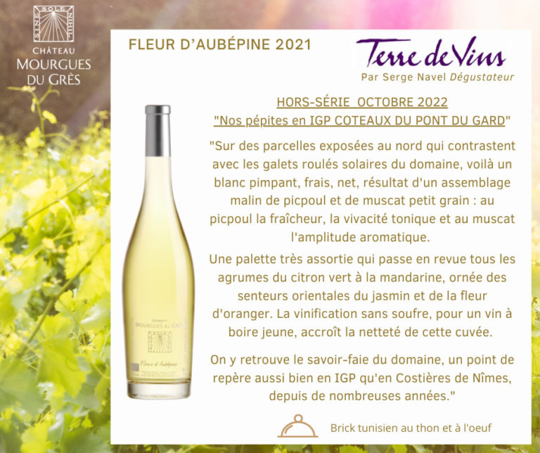 Terre de Vin article