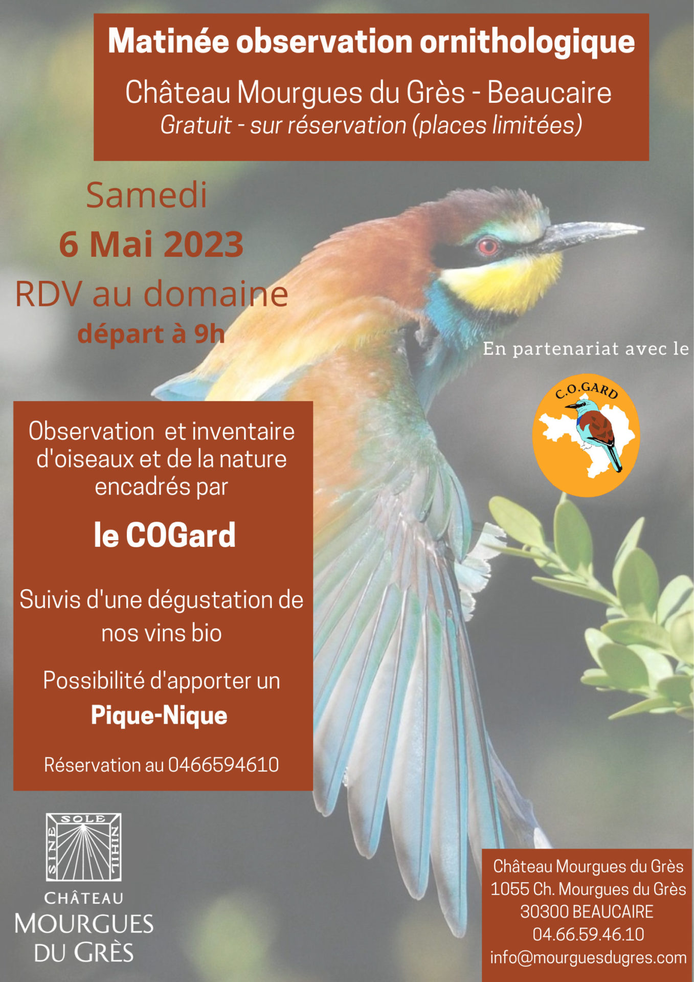 Matinée d’observation Ornithologique – Samedi 6 mai 2023