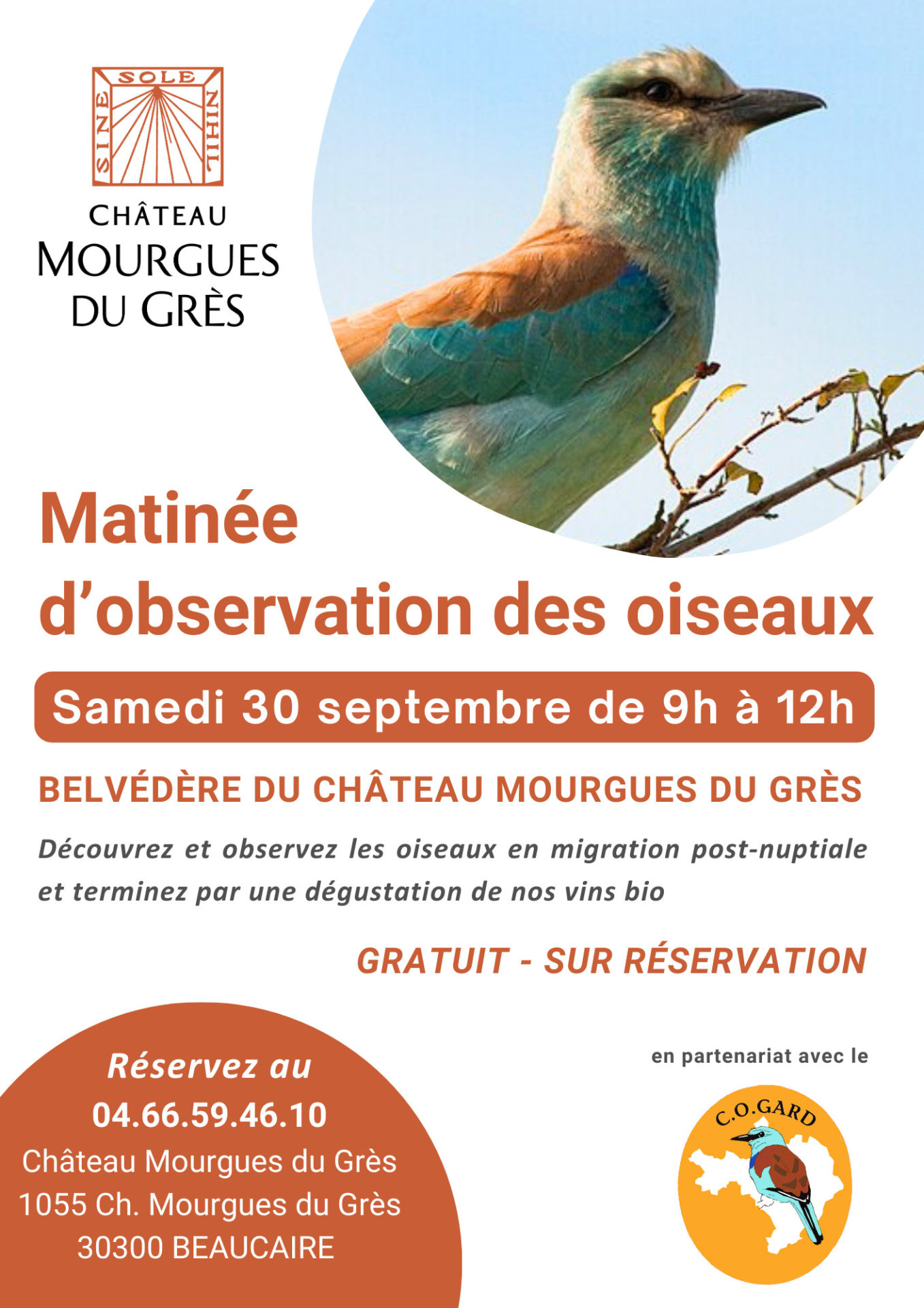 Matinée d’observation des oiseaux – Samedi 30 septembre 2023
