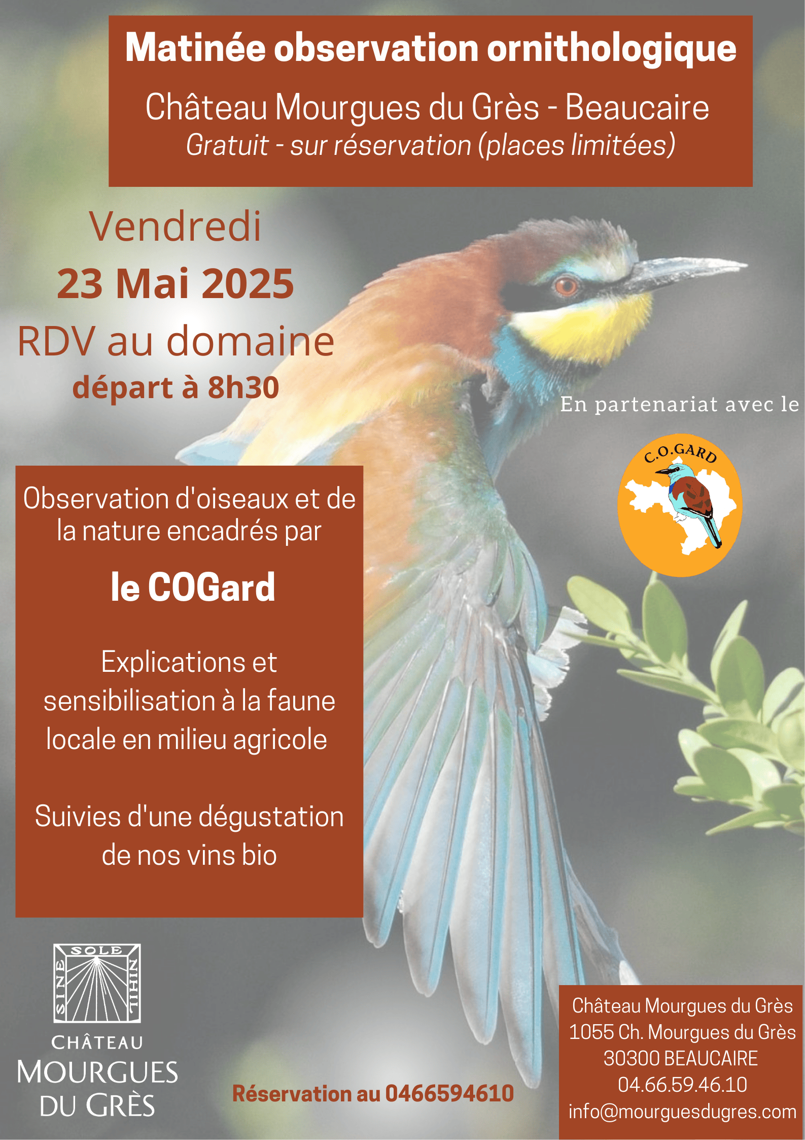 Matinée d’observation ornithologique au domaine le 23 mai 8h30